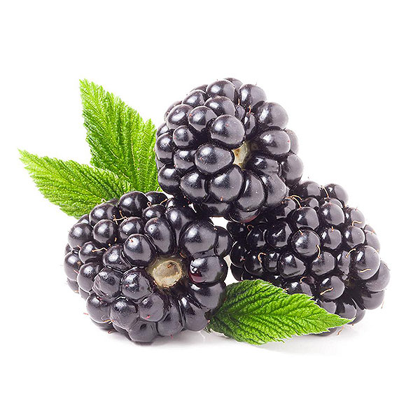 Ожина (blackberry)