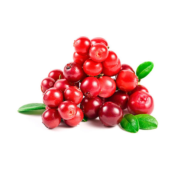 Брусниця (lingonberry)